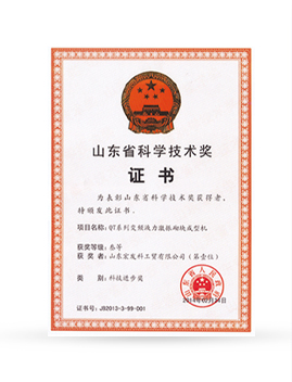 Shandong Science And Technology Award